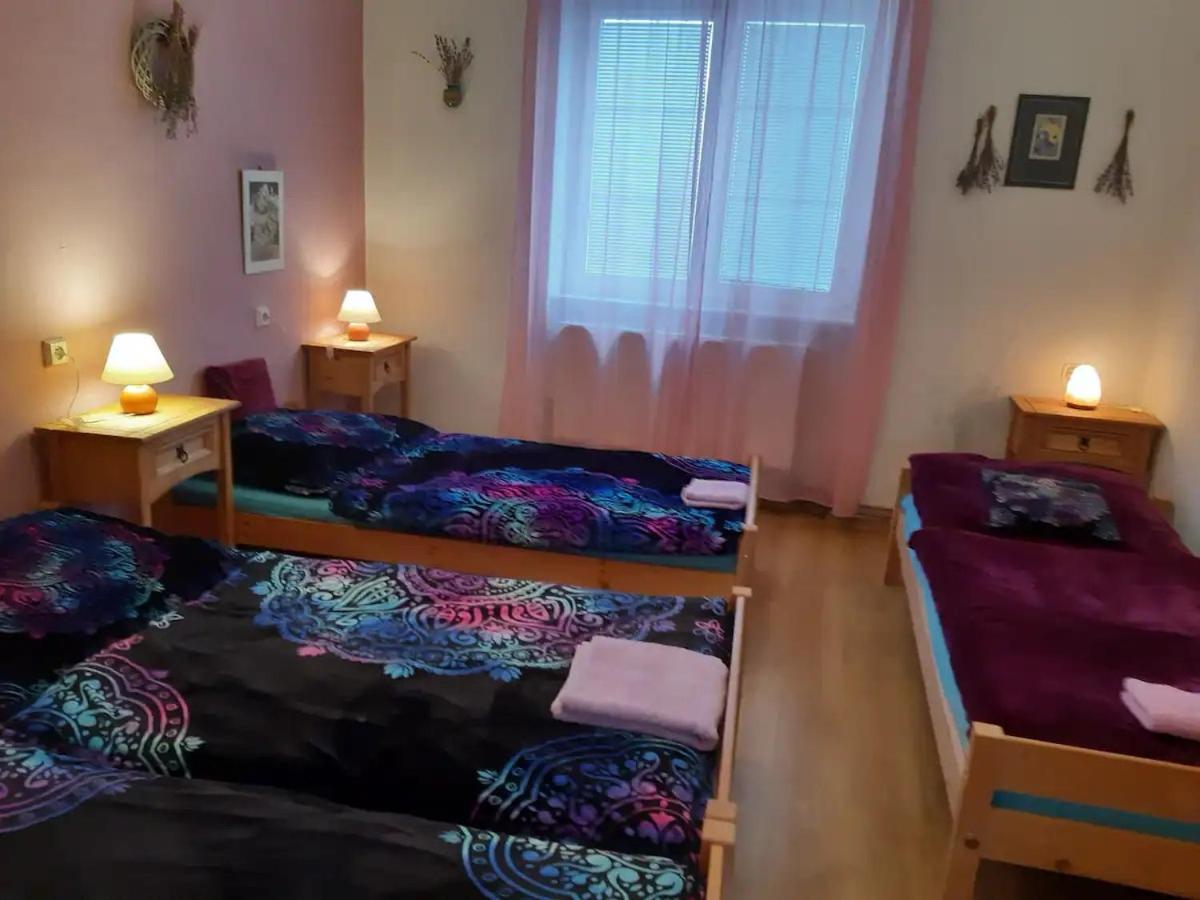 U Pani Malirky Lägenhet Valtice Exteriör bild