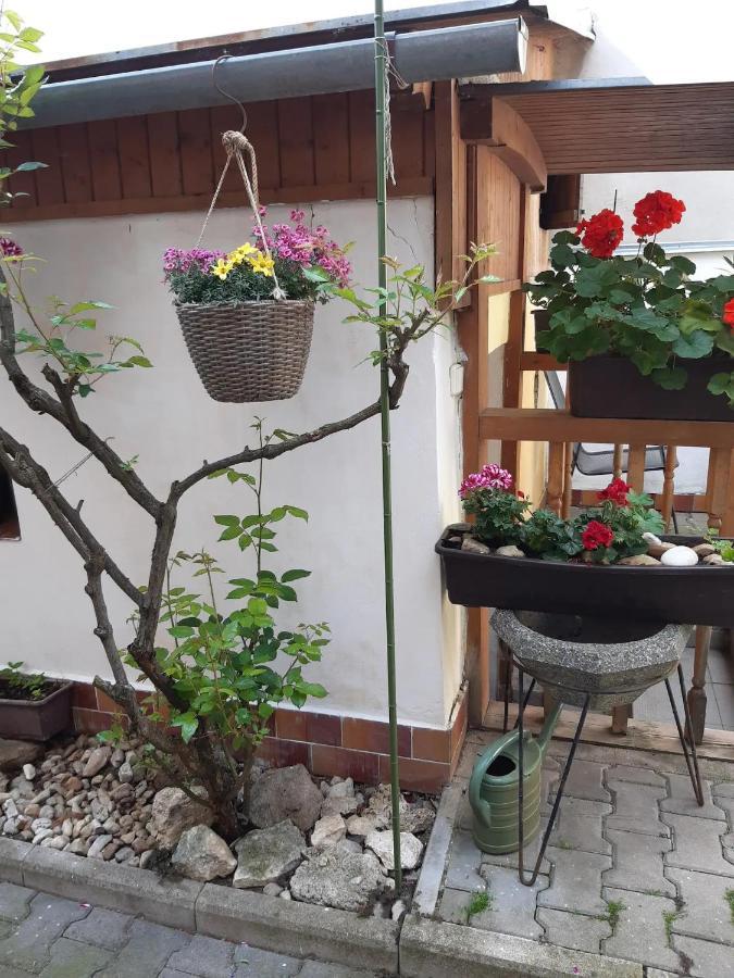 U Pani Malirky Lägenhet Valtice Exteriör bild